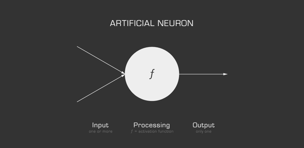 artificial neuron anatomy