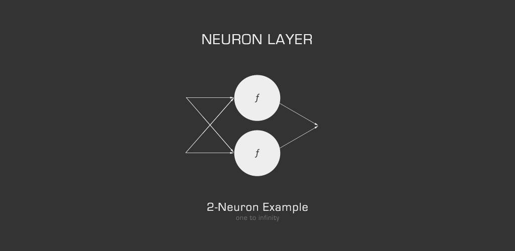 neuron layer anatomy