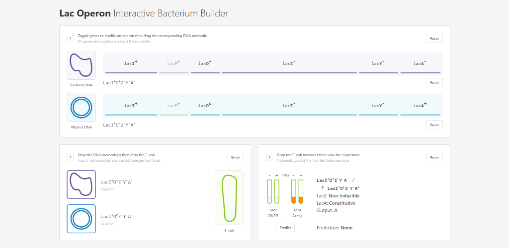 Lac Operon - Bacterium Builder