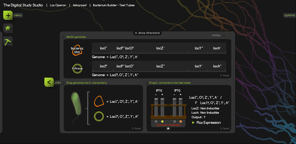 Digital Study Studio